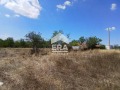 Продава ПАРЦЕЛ, област Варна, гр. Провадия • 19000 € / 37160.77 лв. • 49556149 2
