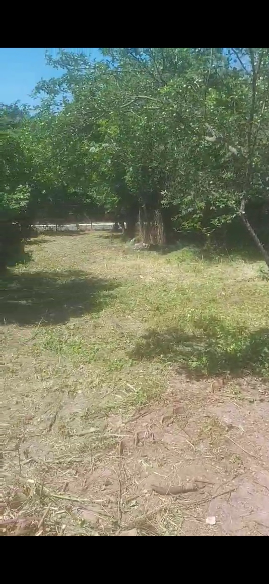 ������� ���� | Imot.bg � ����������� 4