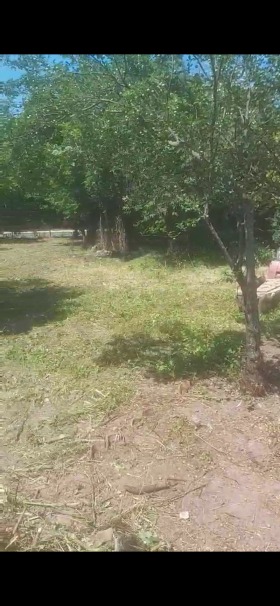 ������� ���� | Imot.bg � ����� ������ 5