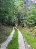 Продава ПАРЦЕЛ, гр. Варна, Изгрев, снимка 6