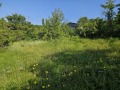 Продава ЗЕМЕДЕЛСКА ЗЕМЯ, гр. Своге, област София област, снимка 3