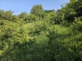 Продава ЗЕМЕДЕЛСКА ЗЕМЯ, гр. Своге, област София област, снимка 5