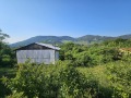 Продава ЗЕМЕДЕЛСКА ЗЕМЯ, гр. Своге, област София област, снимка 2
