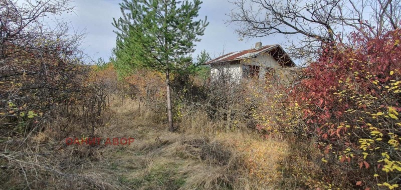 Продава ПАРЦЕЛ в град София, гр. Банкя - 2500 кв.м / 150 000 € » 293 374.50 лв., ОАНИТ АВОР