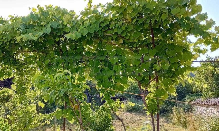 ������� ���� | Imot.bg � ����������� 17