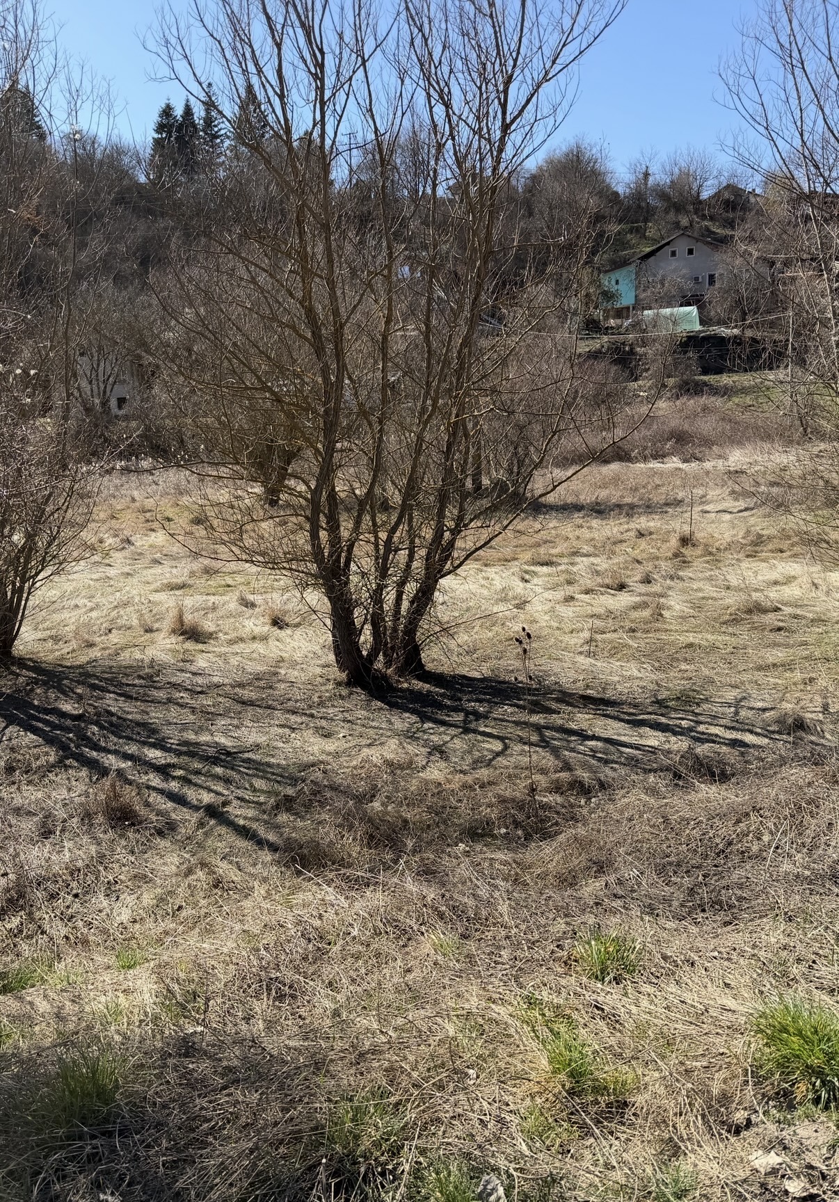 ������� ������ | Imot.bg � ����������� 1