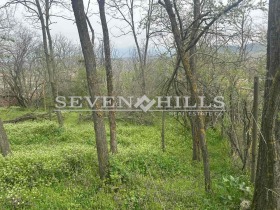 ������ ������� ������