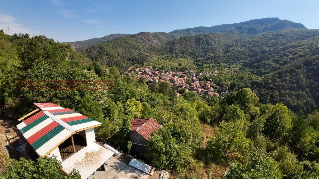 Продава ВИЛА, с. Бачково, област Пловдив, снимка 8 - Вили - 56288974