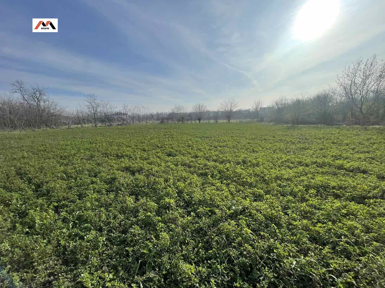 Продава ПАРЦЕЛ, с. Княжевско, област Стара Загора, снимка 4 - Парцели - 54207538