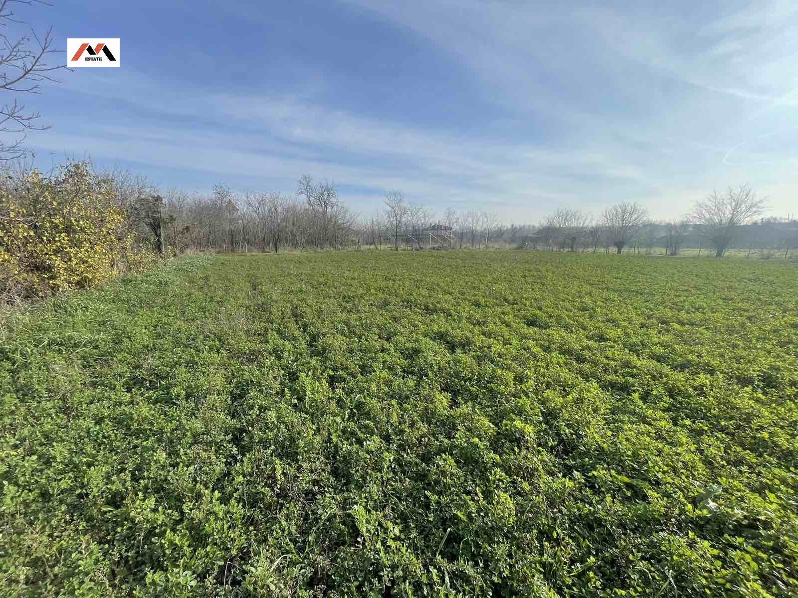 Продава ПАРЦЕЛ, с. Княжевско, област Стара Загора, снимка 2 - Парцели - 54207538