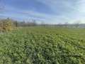 Продава ПАРЦЕЛ, област Стара Загора, с. Княжевско • 16500 € / 32271.19 лв. • 67576686 2