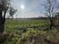 Продава ПАРЦЕЛ, област Стара Загора, с. Княжевско • 16500 € / 32271.19 лв. • 67576686 7