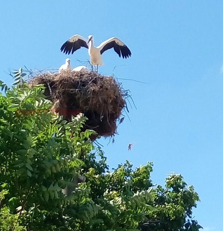 Продава 2-СТАЕН | Imot.bg — изображение 15