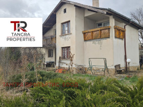 ������ ������� ����