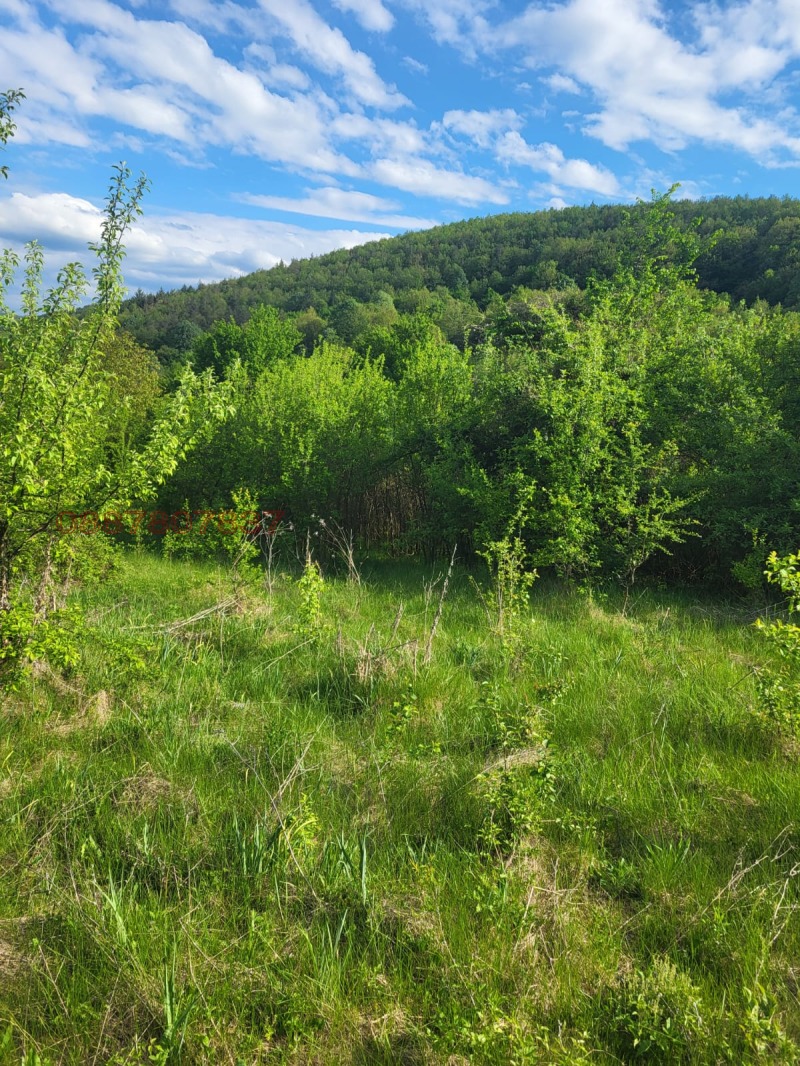 Продава ПАРЦЕЛ, с. Ломец, област Ловеч, снимка 2 - Парцели - 53014819