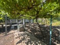 Продава  Къща област Плевен , с. Славовица , 101 кв.м | 71017632 - изображение [10]