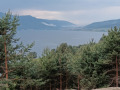 Продава  Земеделска земя област Пазарджик , гр. Сърница , 0.503 дка | 69942242