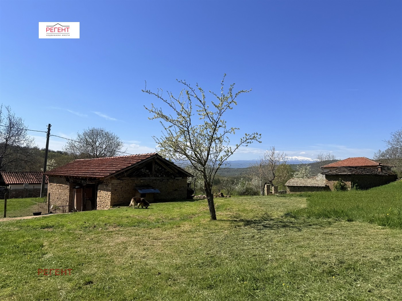 ������� ������ | Imot.bg � ����������� 4