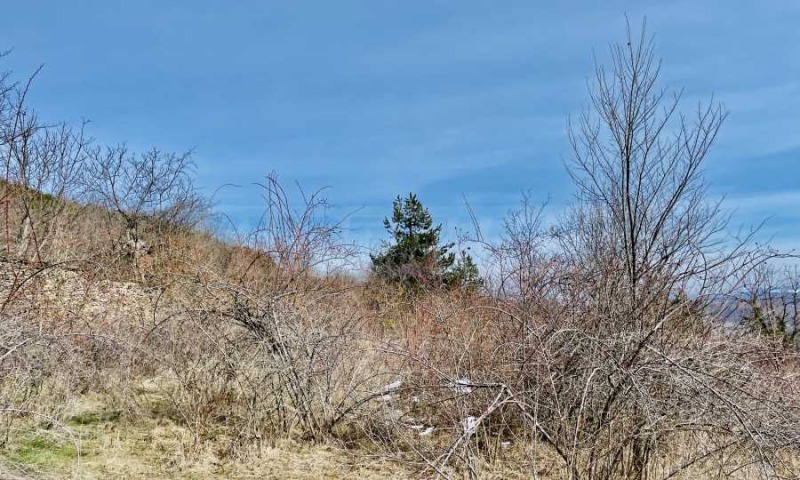 Zu verkaufen  Handlung region Gabrovo , Gostiliza , 2205 qm | 56524567 - Bild [3]