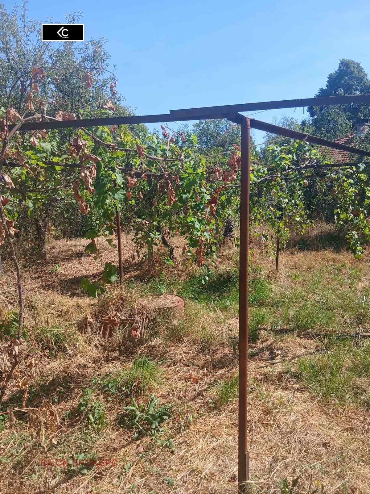 Продава КЪЩА, с. Голяма Желязна, област Ловеч, снимка 6 - Къщи - 56080683