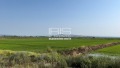 Продава  Парцел област Шумен , с. Драгоево , 1070 кв.м | 87490355