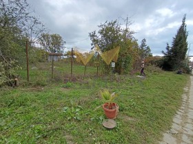 ������ ������� ������