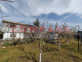 ������ ������� ������