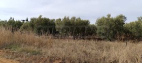 ������� ������ | Imot.bg � ����� ������ 7