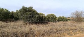 ������� ������ | Imot.bg � ����� ������ 8