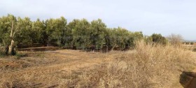 ������� ������ | Imot.bg � ����� ������ 4