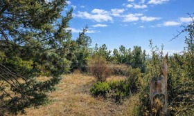 ������� ������ | Imot.bg � ����� ������ 17