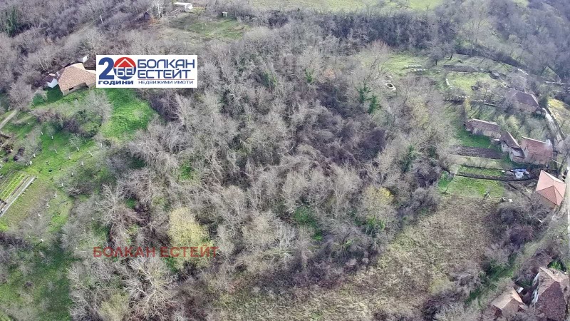 Продава ПАРЦЕЛ, с. Плаково, област Велико Търново, снимка 4 - Парцели - 52872492