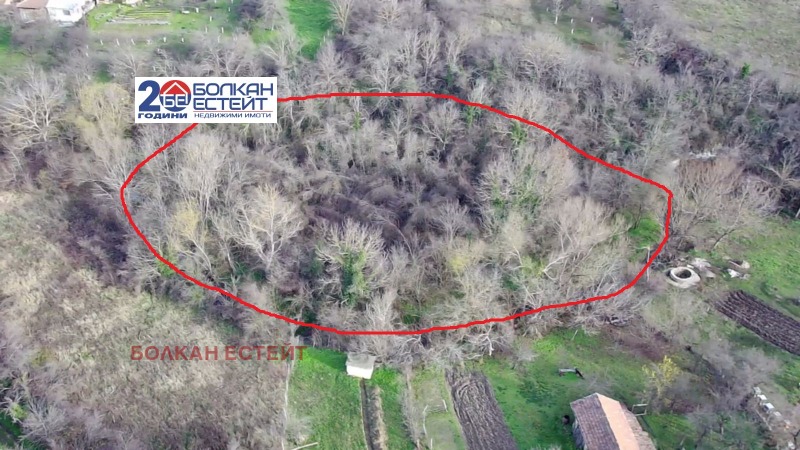 Продава ПАРЦЕЛ, с. Плаково, област Велико Търново, снимка 2 - Парцели - 52872492