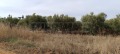 Продава ПАРЦЕЛ, Извън страната, област Извън страната, снимка 7