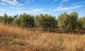 Продава ПАРЦЕЛ, Извън страната, област Извън страната, снимка 12