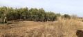 Продава ПАРЦЕЛ, Извън страната, област Извън страната, снимка 4