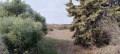 Продава ПАРЦЕЛ, Извън страната, област Извън страната, снимка 6