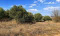 Продава ПАРЦЕЛ, Извън страната, област Извън страната, снимка 15