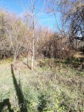Продава ПАРЦЕЛ, област Перник, с. Кошарево • 28000 лв. • 62776726 — Holmes.bg