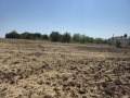Продава ПАРЦЕЛ, област Велико Търново, с. Правда • 34300 € • 21541759 — Holmes.bg