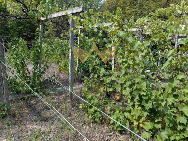 Til salg  Hus Varna , m-t Manastirski rid , 80 kvm | 49021131 - billede [4]