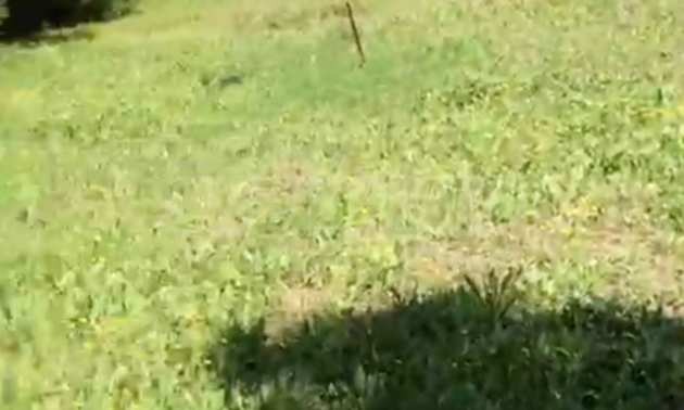 Продава ПАРЦЕЛ, Извън страната, област Извън страната, снимка 3 - Парцели - 51238724