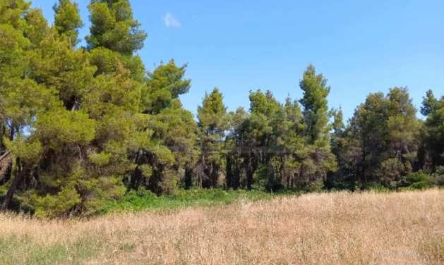 Продава ПАРЦЕЛ, Извън страната, област Извън страната, снимка 6 - Парцели - 51238724