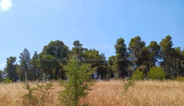 Продава ПАРЦЕЛ, Извън страната, област Извън страната, снимка 7 - Парцели - 51238724