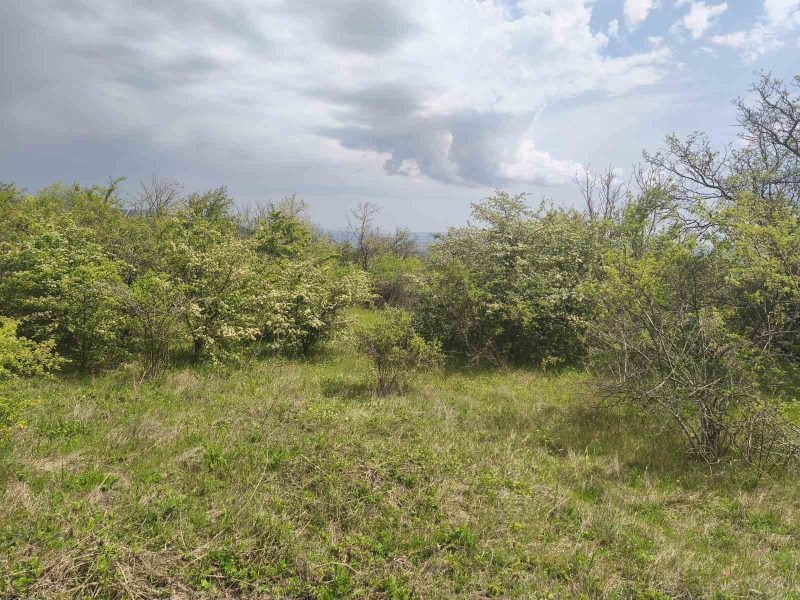 Продава ПАРЦЕЛ, област Варна, с. Баново • 29990 € / 58655.34 лв. • 45891211 1