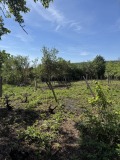 Продава ВИЛА, град Монтана, в.з. Запад • 42000 лв. / 21474.26 € • 64317347 5