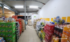 Winkel Goren tsjiflik, regio Varna 14