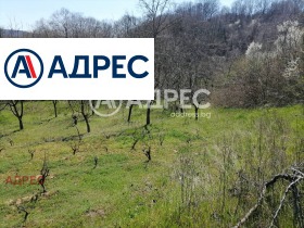 ������� ������ | Imot.bg � ����� ������ 12