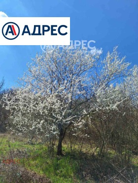 ������� ������ | Imot.bg � ����� ������ 14