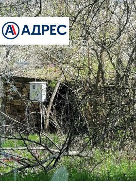 ������� ������ | Imot.bg � ����� ������ 15